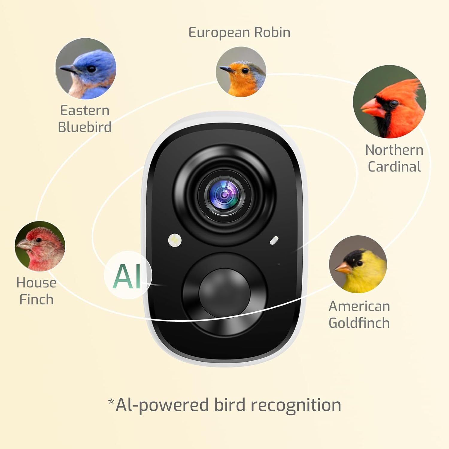 Smart Bird Feeder with Camera, AI Bird Identifier & Live HD View, Exclusive Vertical Mode, All-Metal Squirrel-Resistant Body, Solar Night Light - A Great Gift for BirdLovers